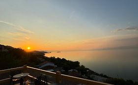 Bujtina E Qilimave
